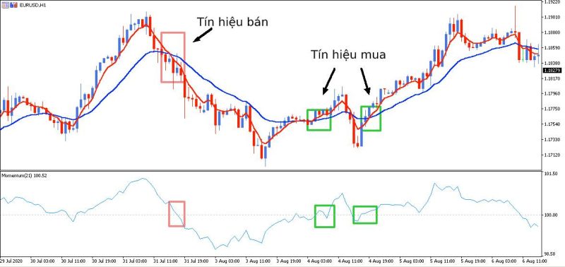 Mọi luồng giá đều có thể dễ dàng hiện thị trên chỉ báo Momentum